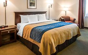 Comfort Inn Las Vegas Nm